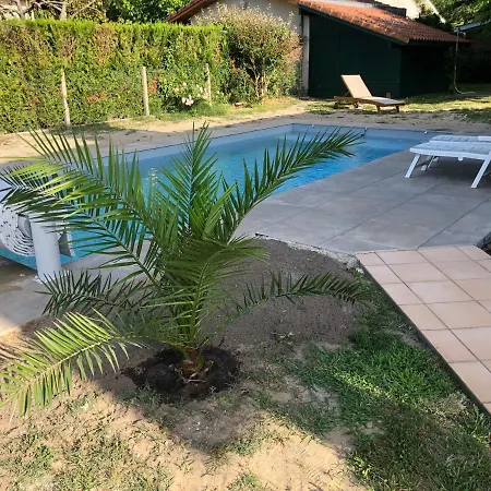 Maison Landaise Moderne Avec Piscine Chauffee Et *