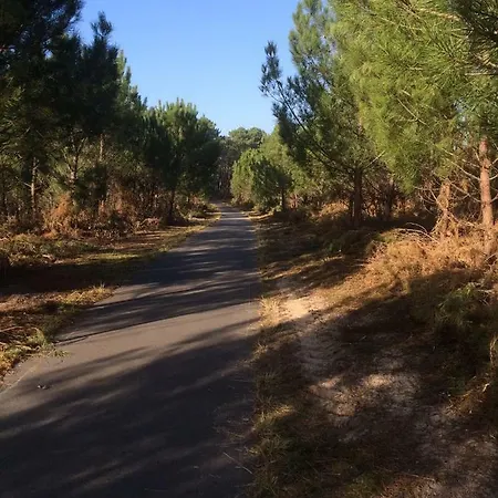 Maison Landaise Moderne Piscine Chauffée Сasa de vacaciones