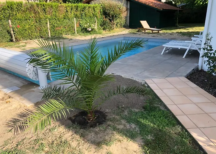 Maison Landaise Moderne Avec Piscine Chauffee Et *