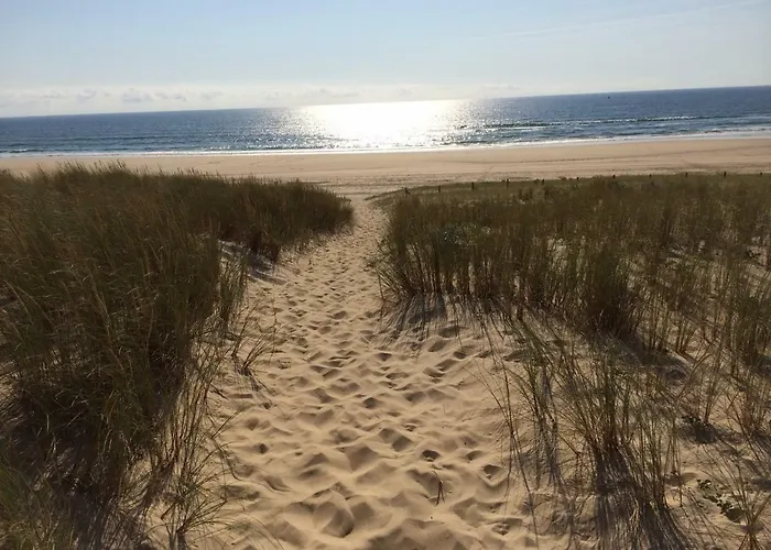 Maison Landaise Moderne Avec Piscine Chauffee Et Ferienhaus *