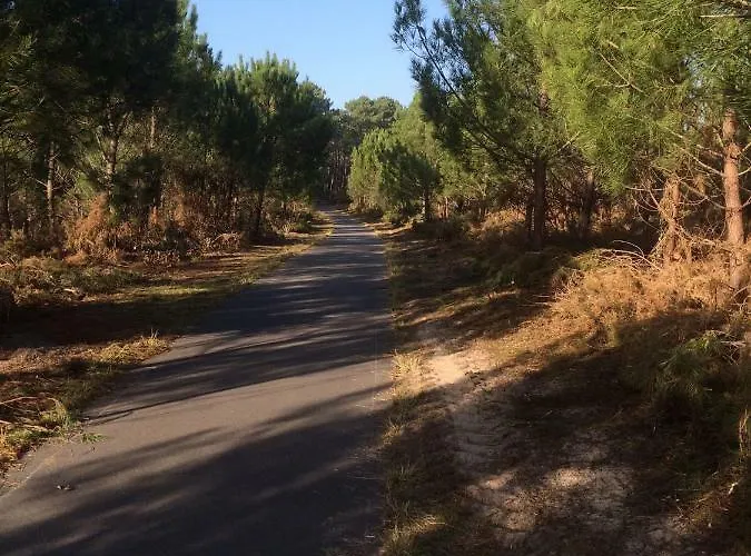 Maison Landaise Moderne Avec Piscine Chauffee Et Ferienhaus