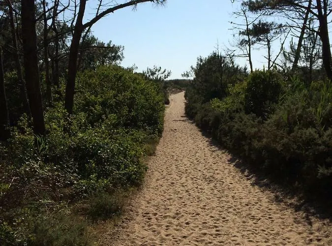 Maison Landaise Moderne Avec Piscine Chauffee Et Ferienhaus Lit-et-Mixe