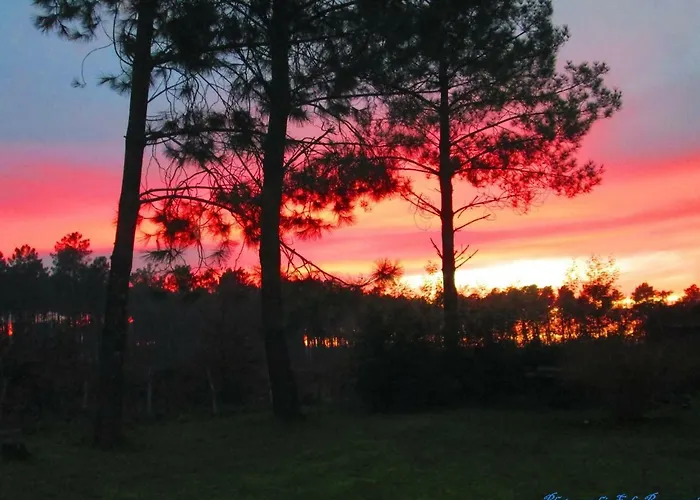 Maison Landaise Moderne Avec Piscine Chauffee Et Ferienhaus Lit-et-Mixe
